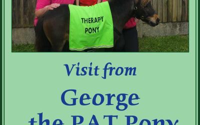 Visit from George the miniature Pony
