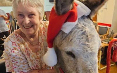 Festive Fun at High Pines Residential Home